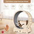 Cat Exercise Wheel For Indoor Cats, Running Wheel With Carpeted Runway Meifu Market