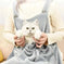 Cat Clothes Pets Apron Grey - lifestyle usage image