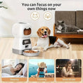 timed automatic pet feeder | large capacity pet feeder | visible food level feeder | energy saving