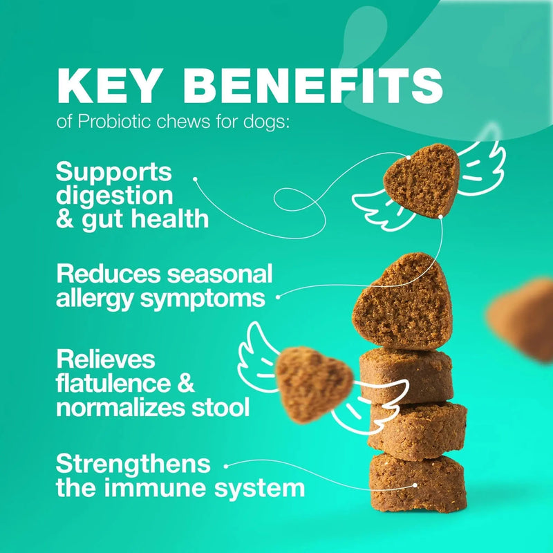 Do Not Sell On Amazon Probiotics For Dogs Support Gut Health Immunity Yeast Balance Itchy Skin Allergies Probiotics And Digestive Enzymes Coprophagia Deterrent For Dogs 180 Probiotic Chews For Dogs Meifu Market