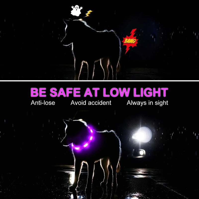 rechargeable pet collar | led dog collar | glowing cat collar | energy saving