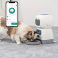 timed automatic pet feeder | large capacity pet feeder | visible food level feeder | ultrasonic cleaning