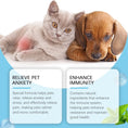 Pet Care Drops Enhance Immunity Dog Nutrition Supplement For Cats Meifu Market