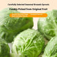 Dog Snacks Brussels Sprouts Freeze-dried Food Meifu Market