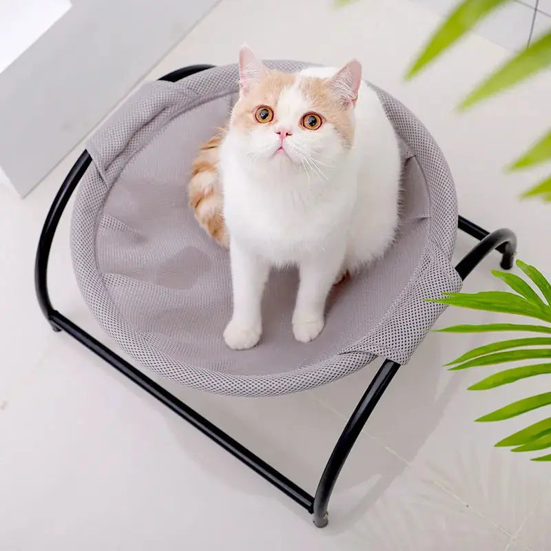 Pet camping bed Meifu Market