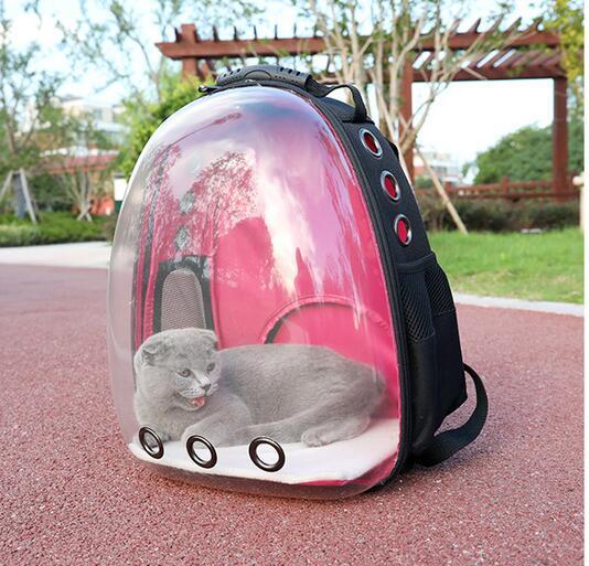 Transparent Backpack Pet Backpack Meifu Market