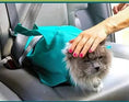 Pet Cat Breathable Outdoor Travel Shoulder Bag Sling Carrier For Puppy Meifu Market