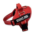Personalization Of Pet Chest Strap Products Meifu Market