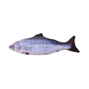 Electric Fish Cat Toy - Jumping Simulation Interactive USB Rechargeable Meifu Market