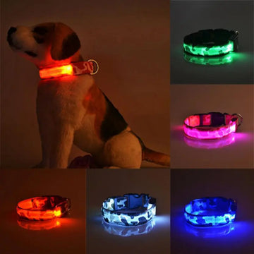 Camouflage pet supplies luminous dog collar Meifu Market