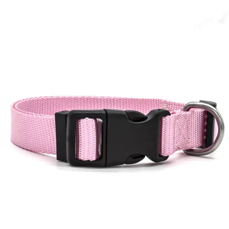 New Pet Collar Meifu Market