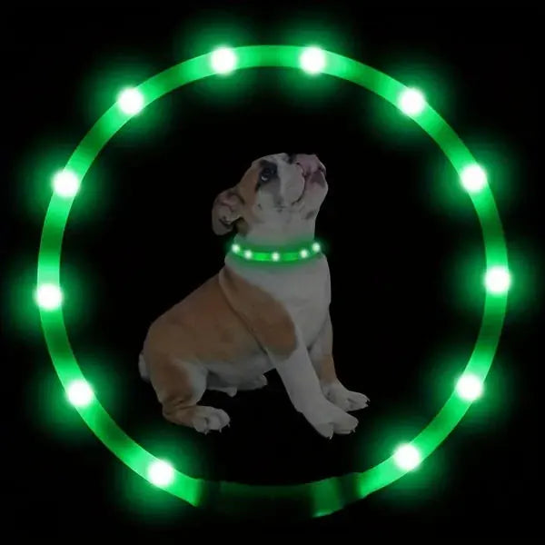 rechargeable pet collar | led dog collar | glowing cat collar | energy saving