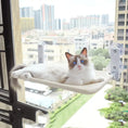 Cat Suction Cup Window Glass Hammock Pet Cat Pets Products Meifu Market