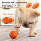 Dog Rubber Chew-resistant Interactive Squeaky Football Toy Meifu Market