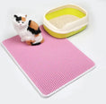 Pet Cat Litter Mat Pet Supplies EVA Double Cat Litter Mat Meifu Market