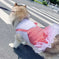 Dog Clothes Princess Dog Costume Labrador Golden Retriever Big Dog Clothes 4XL - side view showing details
