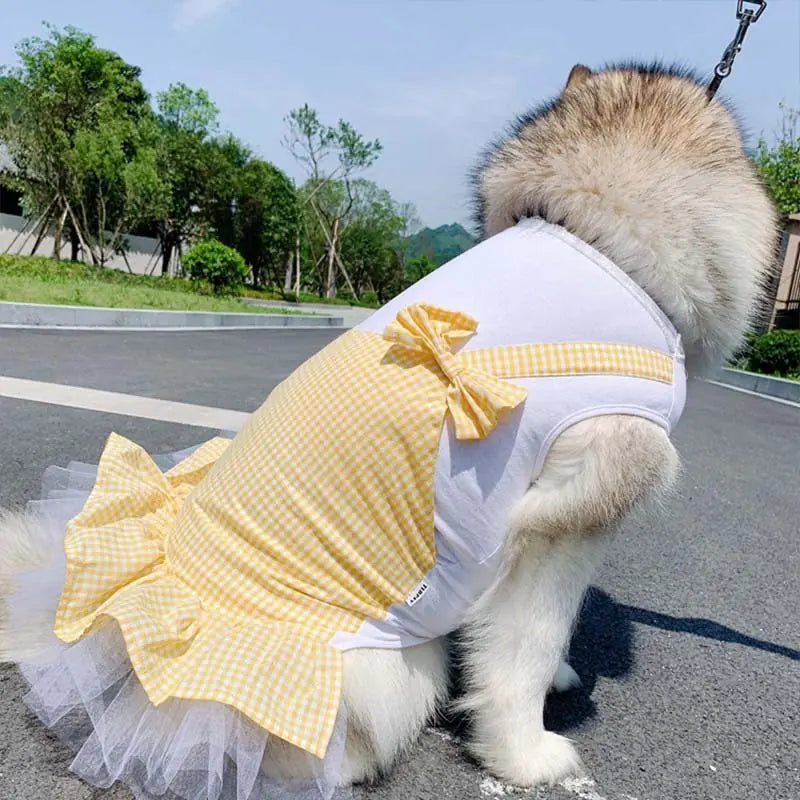 Dog Clothes Princess Dog Costume Labrador Golden Retriever Big Dog Clothes Meifu Market