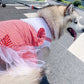 Dog Clothes Princess Dog Costume Labrador Golden Retriever Big Dog Clothes Meifu Market