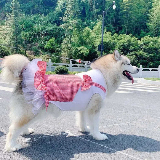 Dog Clothes Princess Dog Costume Labrador Golden Retriever Big Dog Clothes 4XL - front view 0