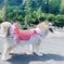 Dog Clothes Princess Dog Costume Labrador Golden Retriever Big Dog Clothes 4XL - available style options