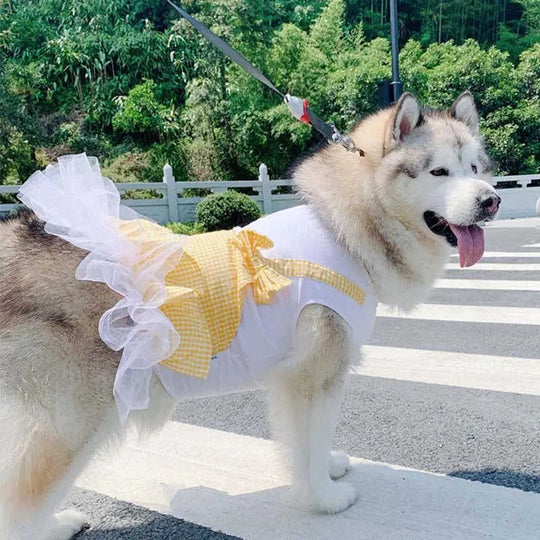 Dog Clothes Princess Dog Costume Labrador Golden Retriever Big Dog Clothes 4XL - packaging and presentation