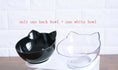New Inclined Food Cat Ear Oblique Mouth Transparent Single Pet Bowl Meifu Market