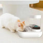 4 Style Pet Cat Bowl Dog for Cats Feeder Bowls Kitten Automatic Drinking Fountain 1.5L Capacity Puppy Feeding Waterer Products Meifu Market