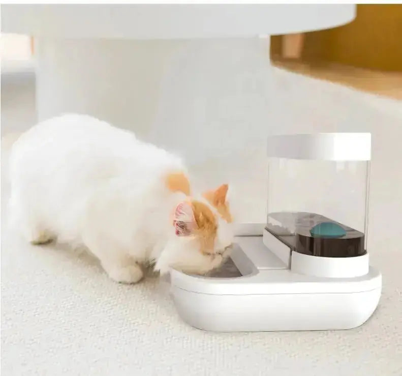 4 Style Pet Cat Bowl Dog for Cats Feeder Bowls Kitten Automatic Drinking Fountain 1.5L Capacity Puppy Feeding Waterer Products Meifu Market