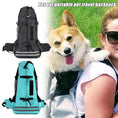 Pet Backpack Breathable Carrier Bag - cat backpack for vet trips  a good idea or cruel    r catadvice