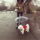 Dog's Transparent Umbrella With Traction Chain Removable Umbrella Pet Products Meifu Market