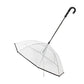 Dog's Transparent Umbrella With Traction Chain Removable Umbrella Pet Products Meifu Market