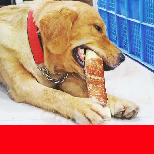 Dog teeth cleaning bones 3 small chicken flavors - back view