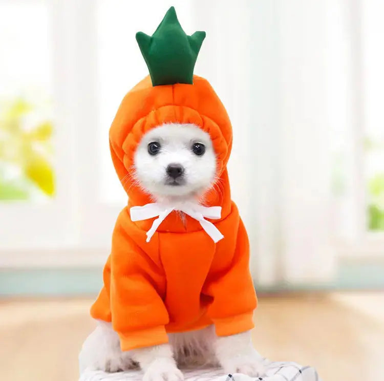 Cute Fruit Dog Clothes For Small Dogs Hoodies Winter Warm Fleece Pet Clothing Puppy Cat Costume Coat For French Chihuahua Outfit Meifu Market