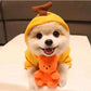 Cute Fruit Dog Clothes For Small Dogs Hoodies Winter Warm Fleece Pet Clothing Puppy Cat Costume Coat For French Chihuahua Outfit Meifu Market