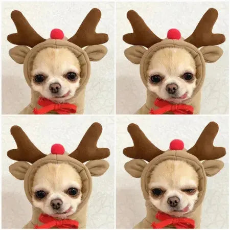 Cute Fruit Dog Clothes For Small Dogs Hoodies Winter Warm Fleece Pet Clothing Puppy Cat Costume Coat For French Chihuahua Outfit Meifu Market