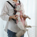 Portable cat backpack for spring outing Meifu Market