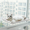 Pet Litter Sucker Hanging Cat Window Hammock Meifu Market