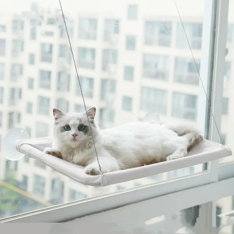 Pet Litter Sucker Hanging Cat Window Hammock Meifu Market