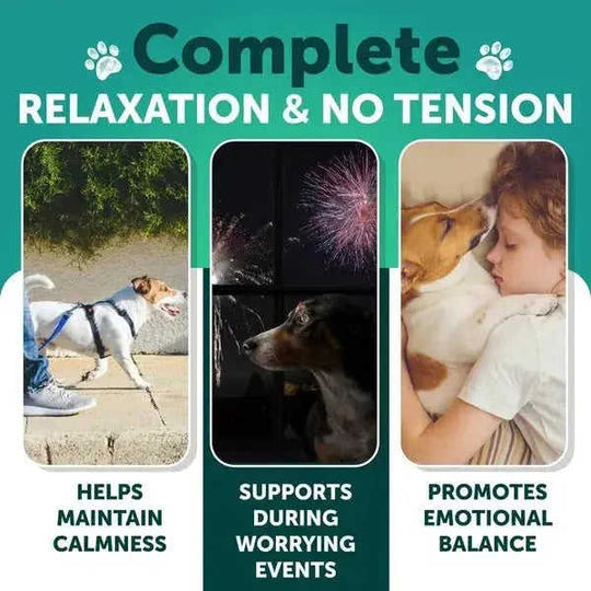 Hemp Calming Chews For Dogs Dog Anxiety Relief Treats With Hemp Oil Turmeric Valerian Ginger Health And Wellness Supplemen...