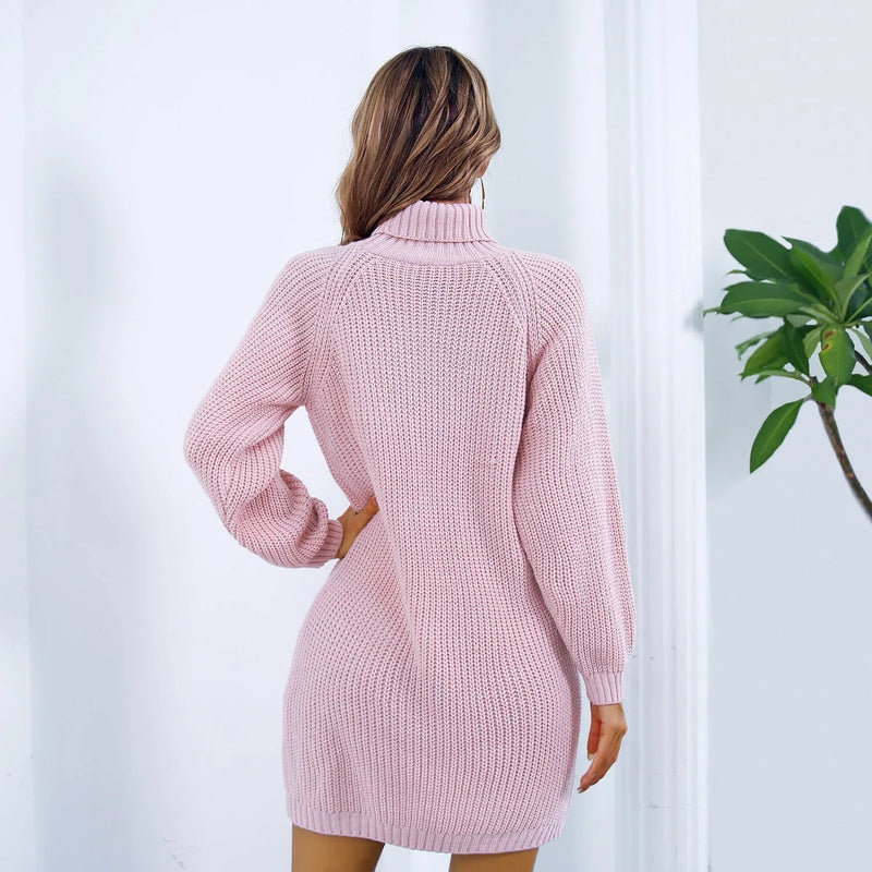 Winter Turtleneck Long Sweater Dress With Button Design Leisure Clinch Long Sleeve Base Sweater Women Meifu Market