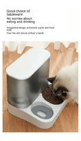 Pet Visual Automatic Pet Feeder Meifu Market