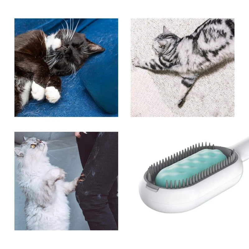 Cat Hair Brush With Water, Sticky Brush For Cats, 4 In-1 Cat Grooming Brush Creative Update Cat Dog Grooming Comb With Water Tank Double-Sided Hair Removal Brush Kitten Pet Supplies Accessories Meifu Market
