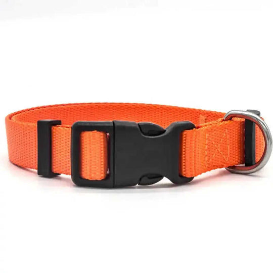 New Pet Collar Red - available style options