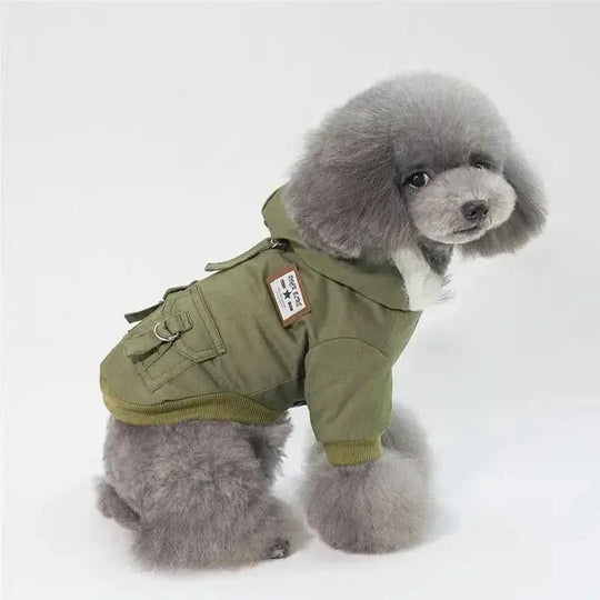 Cap dog coat Grey - lifestyle usage image