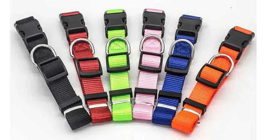 New Pet Collar Red - front view 0