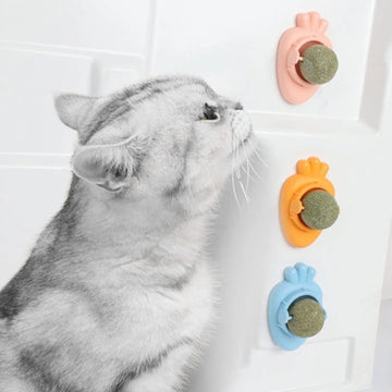 Catnip Wall Toy - Carrot Shape Self-Adhesive Cat Teeth Cleaning Ball