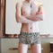 Men's Ice Silk Boxer Briefs Summer Breathable Printed Underwear Meifu Market