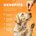 Dog Allergy Relief Chews Itch Relief For Dogs Anti Itch Dog Allergy Chews US Formulated Dog Itching Skin Relief With Salmon Oil Immune Health Seasonal Allergies & Hot Spots Support Treats Meifu Market