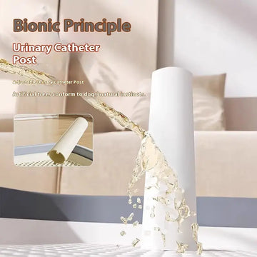 PET Plastic Fixed-point Dog Toilet Meifu Market