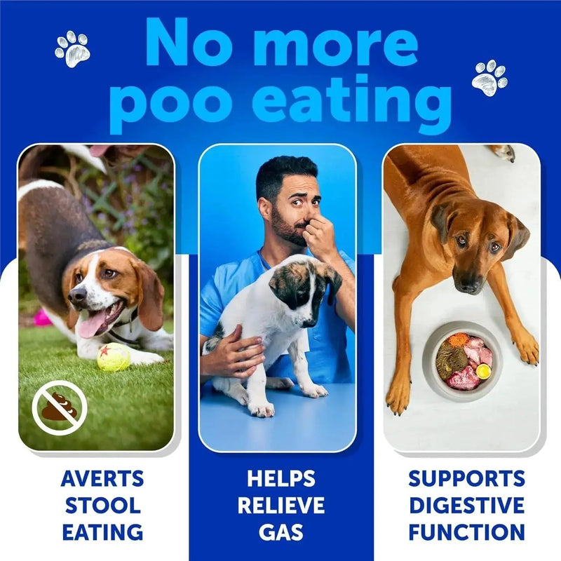 No Poo Chews For Dogs Puppy Coprophagia Stool Eating Deterrent Prevent Dog From Eating Poop Stop Eating Poop Treats With Probiotics & Enzymes Immune Digestive Gut Health Support Supplement Meifu Market